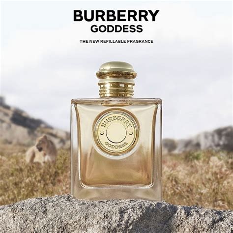 burberry golden goddess perfume|Burberry perfume gold bottle.